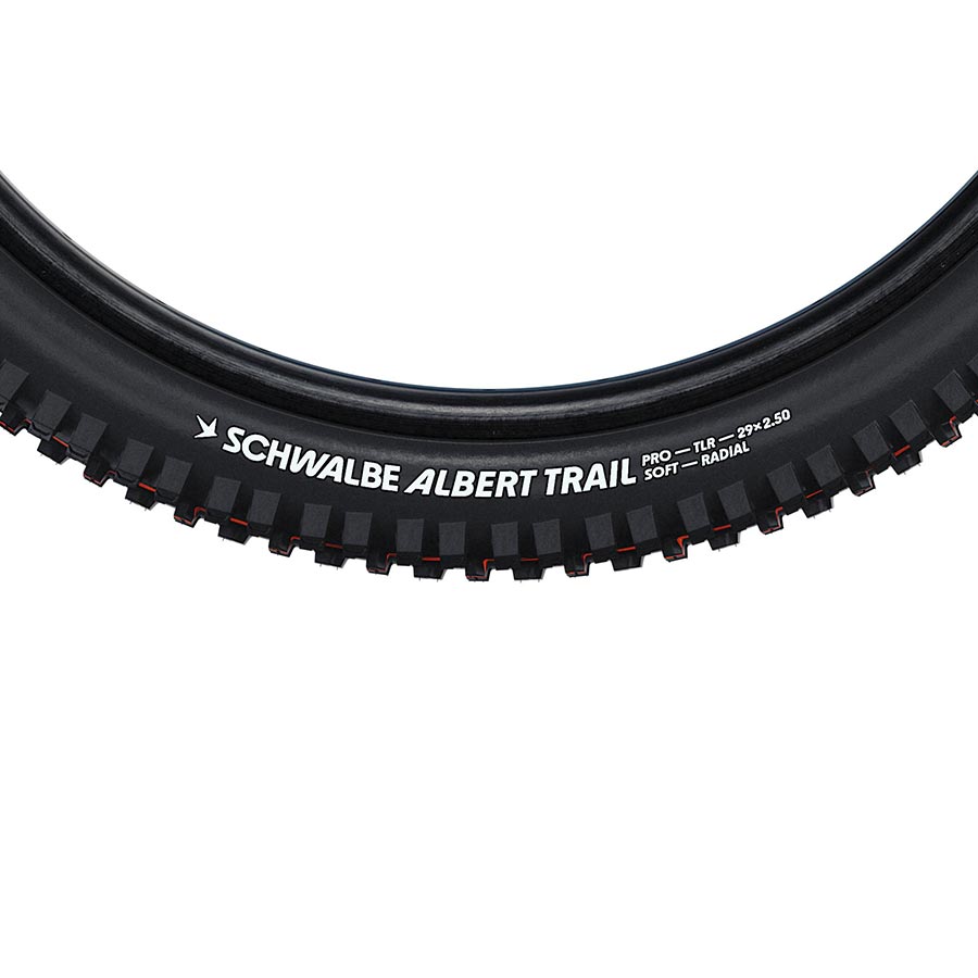 NEW Schwalbe Albert Gravity Pro Mountain Tire - 29"x2.60, Folding, Tubeless Ready, Addix Ultra Soft, Radial, 67TPI, Black