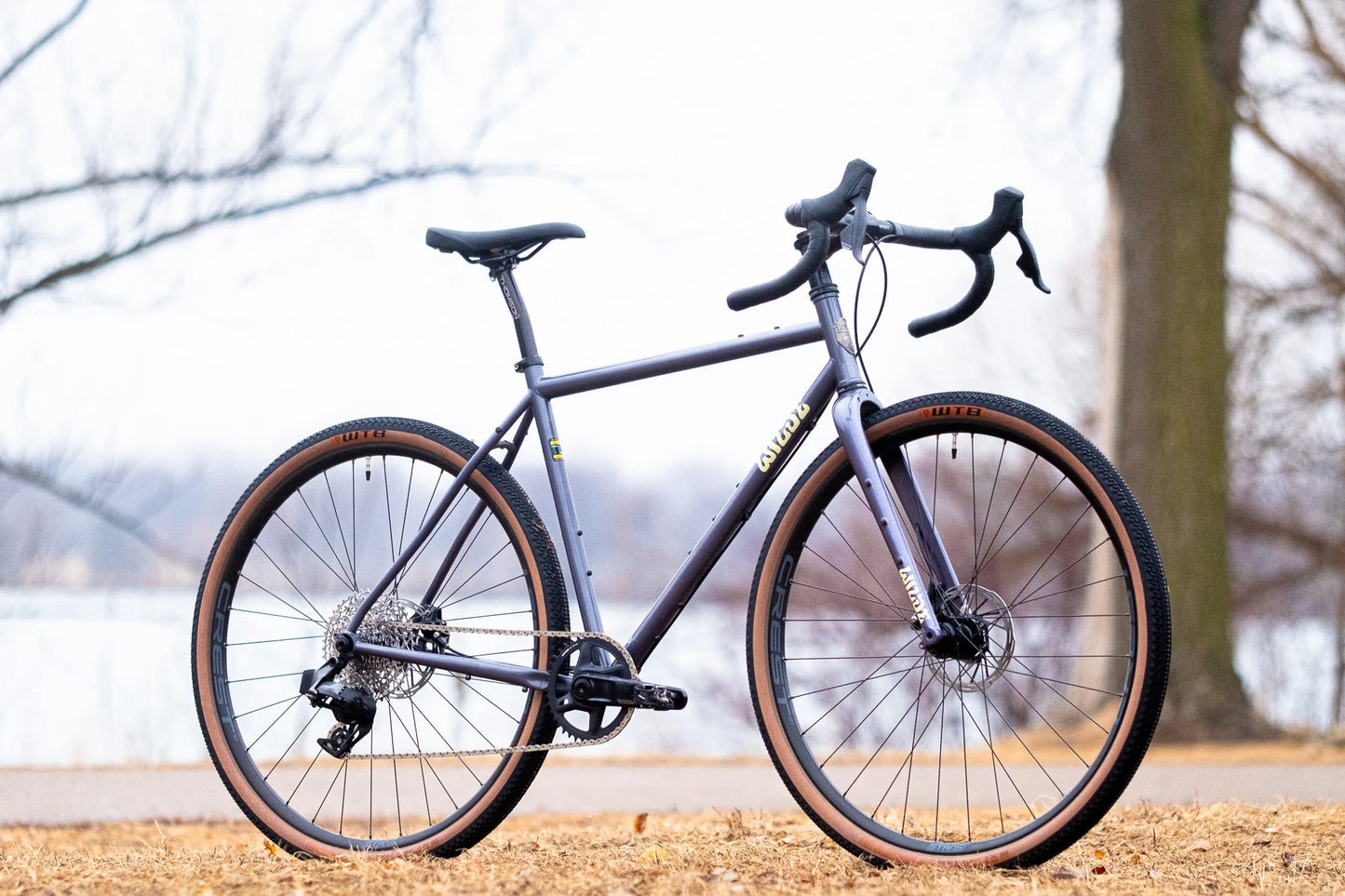 NEW Wilde Rambler SL Steel Gravel / All-Arounder Bike with Carbon Fork - Disco Moondust