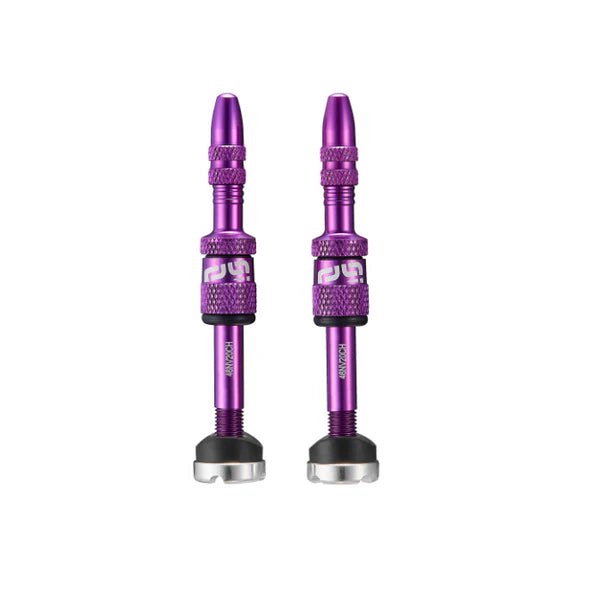 NEW E*Thirteen Quick Fill Presta Tubeless Valves