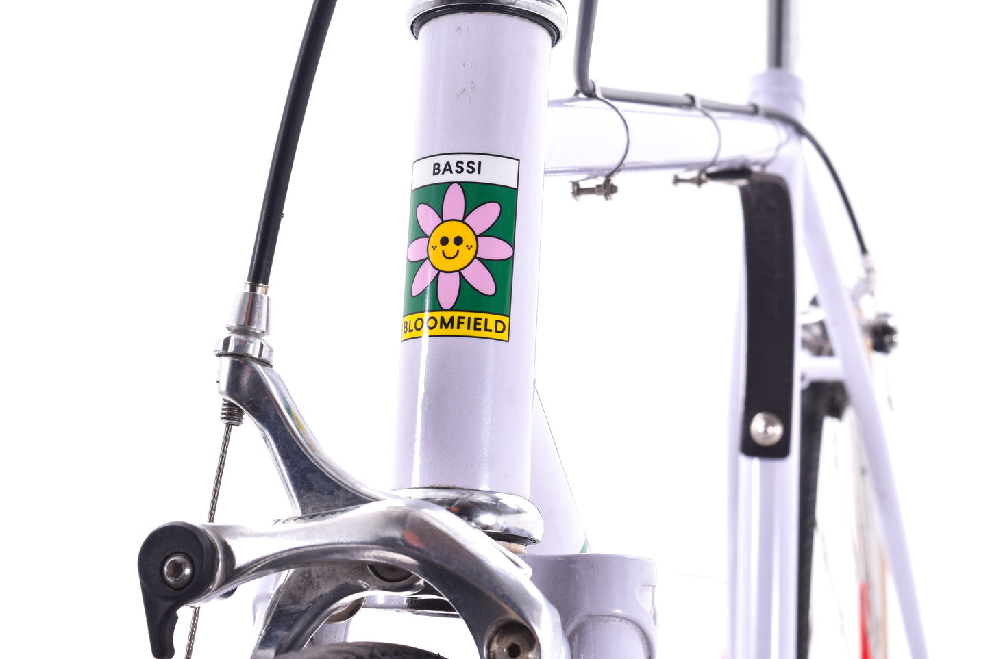 USED Bassi Bloomfield 50.5 (medium) Steel Single Speed Bike Lilac