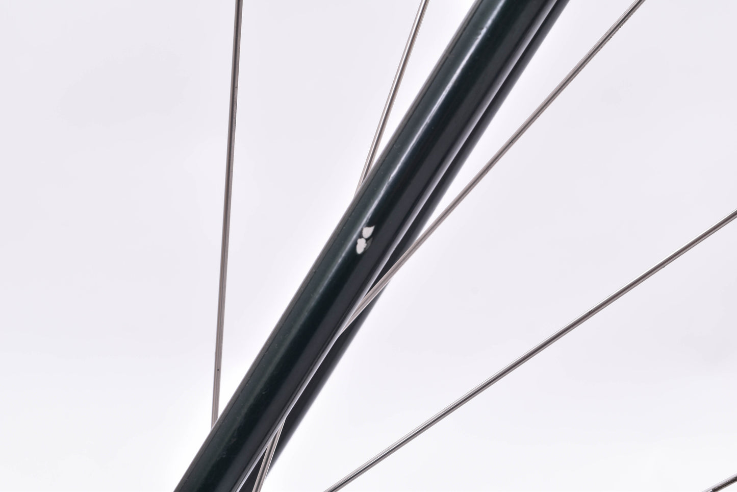 USED Bianchi San Jose Steel Single Speed Cyclocross Bike 55cm