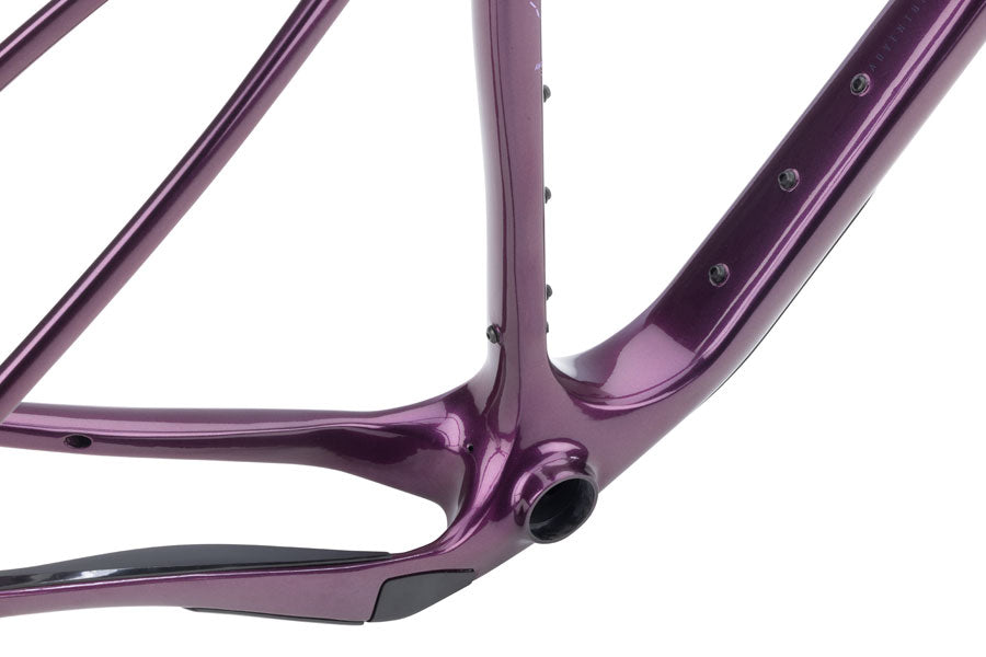 NEW Salsa Cutthroat C Adventure / Bikepacking Frameset - 29", Carbon, Deep Orchid