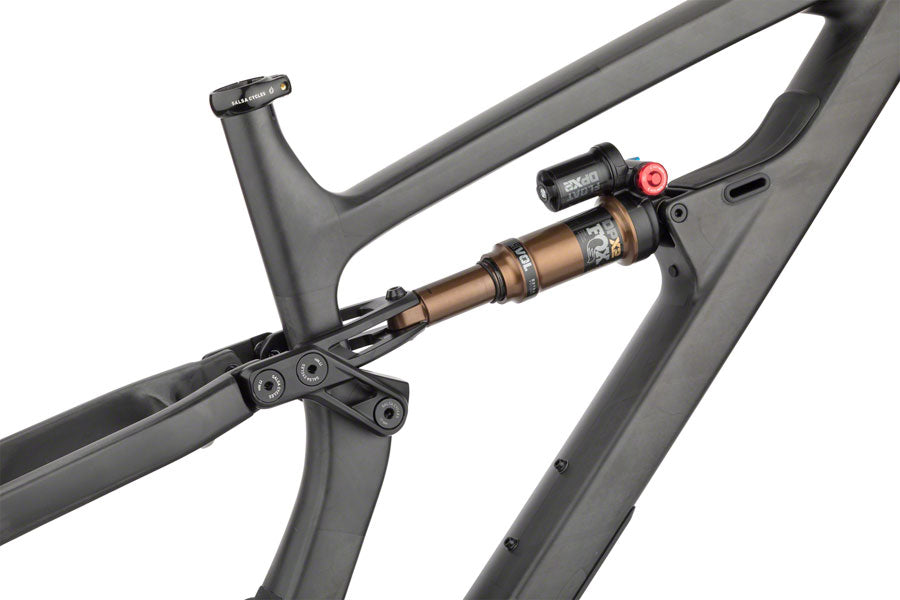 NEW Salsa Blackthorn Carbon - All-Mountain Frame, 29", Raw