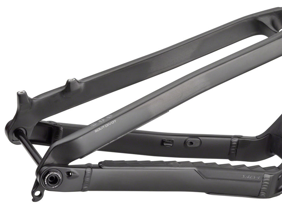 NEW Salsa Blackthorn Carbon - All-Mountain Frame, 29", Raw