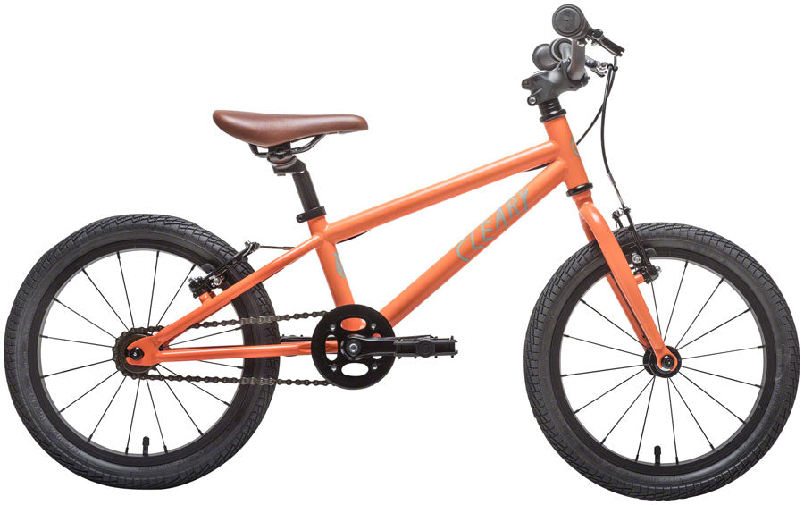 NEW Cleary Hedgehog 16" Kids Bike Single Speed