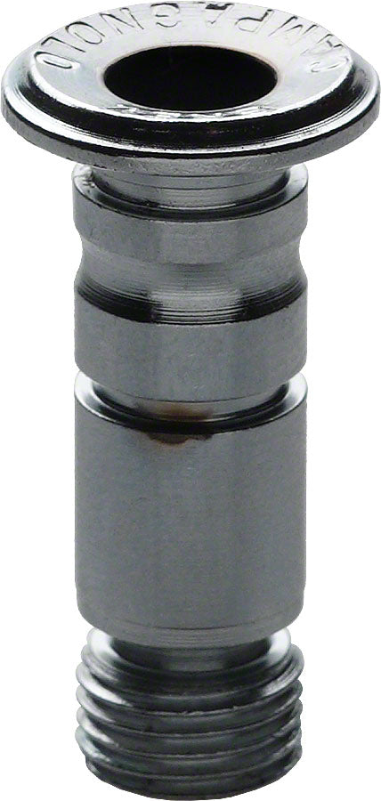 NEW Campagnolo Rear Derailleur Hanger Bolt with Lip