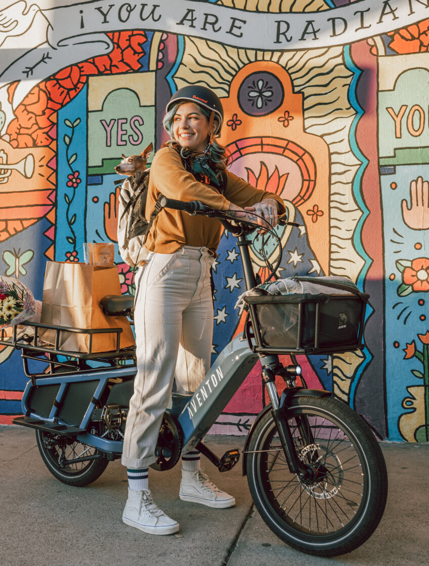 NEW Aventon Abound Cargo Ebike - One Size