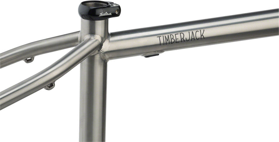 NEW Salsa Timberjack Ti Mountain Frame