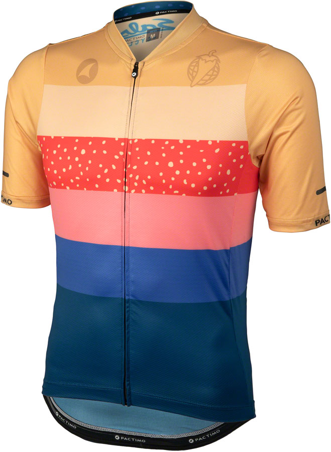 NEW Salsa Team Polytone Men's Jersey - Goldenrod, Dark Blue, w/ Stripes, Small