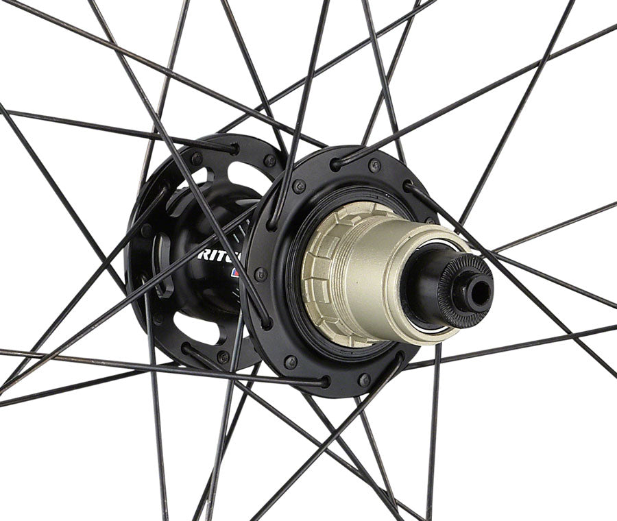 NEW Ritchey WCS Freehub body for Vantage and Trail, SRAM XD