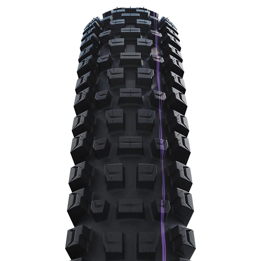 NEW Schwalbe Albert Gravity Pro Mountain Tire - 29"x2.60, Folding, Tubeless Ready, Addix Ultra Soft, Radial, 67TPI, Black