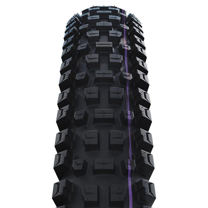 NEW Schwalbe Albert Gravity Pro Mountain Tire - 29"x2.60, Folding, Tubeless Ready, Addix Ultra Soft, Radial, 67TPI, Black