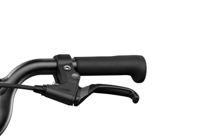 NEW woom GO 4 - 20" Kids Bike - Age 6-8