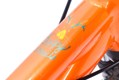 USED Cannondale Trail 20" 1x7 speed Kids Hardtail Mountain Bike Orange