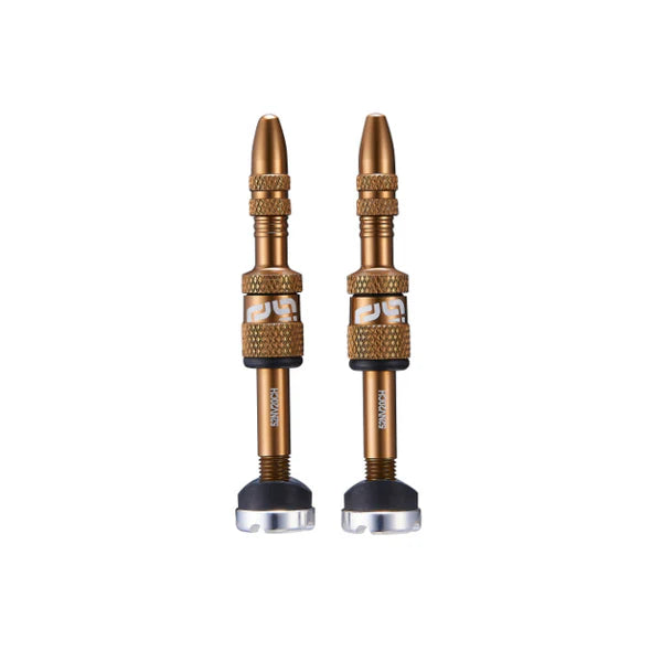 NEW E*Thirteen Quick Fill Presta Tubeless Valves