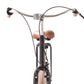 USED Priority Classic 3 Medium Urban Cruiser Bike