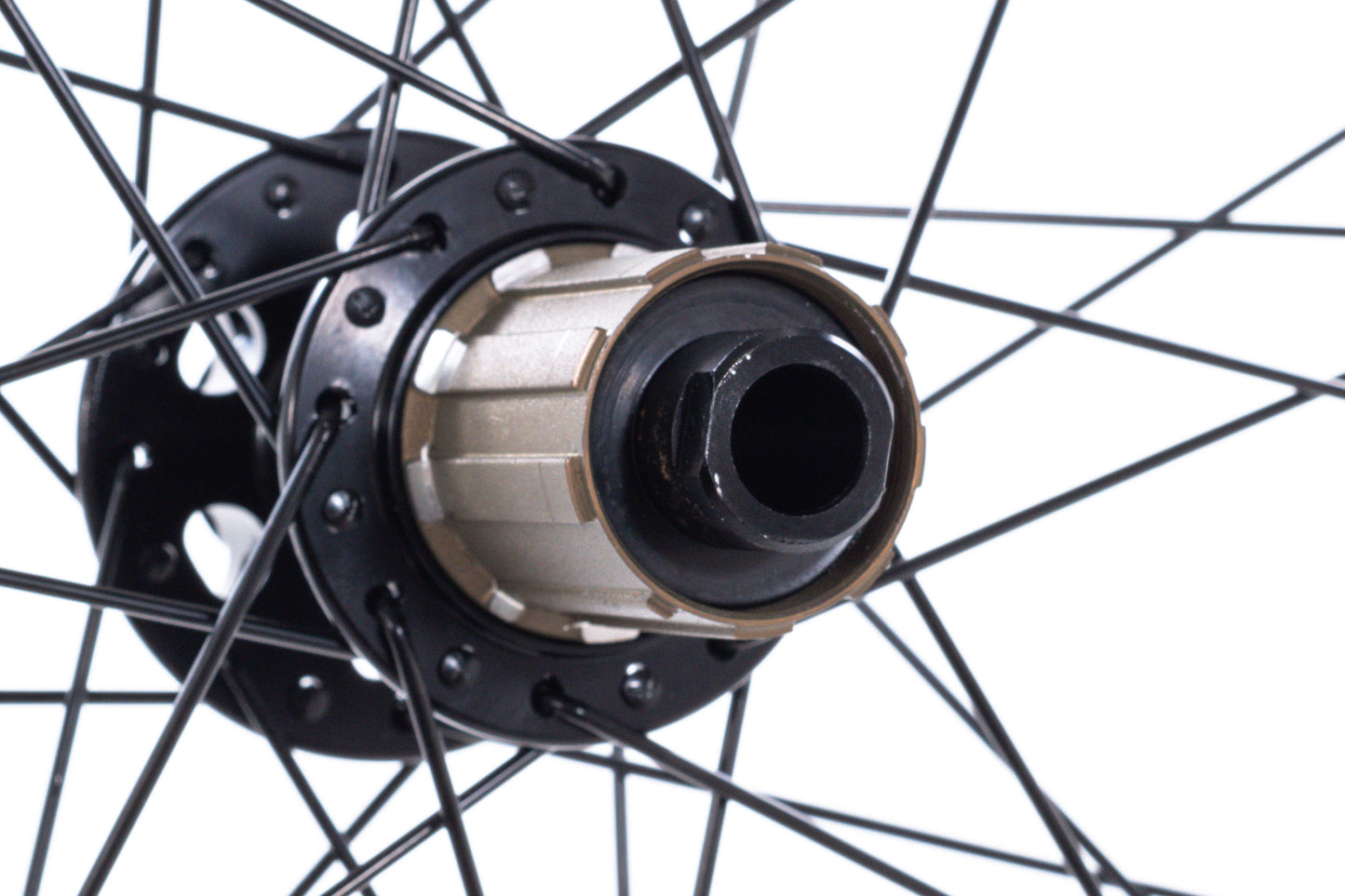 NEW take off Alex Rims MD23 700C Gravel/All-Road Wheelset 6-bolt Disc Shimano HG 12mm Thru Axle Hubs