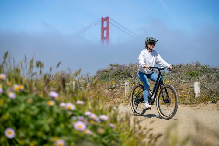 NEW Marin Stinson 1 27.5" Comfort Bike