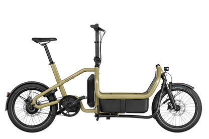 NEW Riese & Muller Carrie Vario Electric Bike