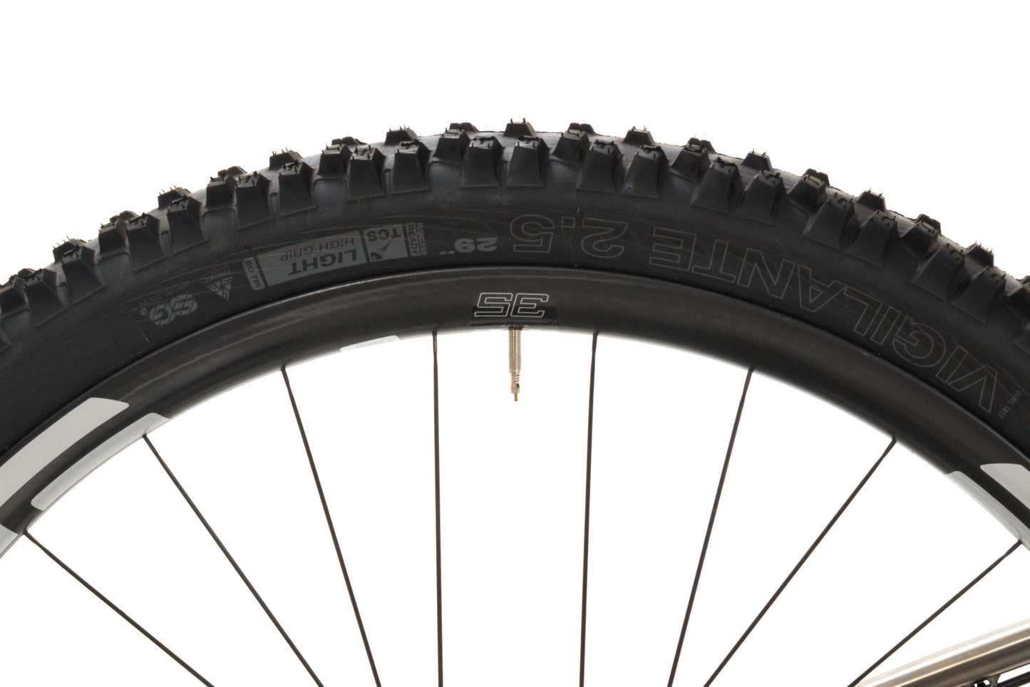 NEW Salsa Timberjack Ti Small X01 AXS 29"- Custom Mountain Bike