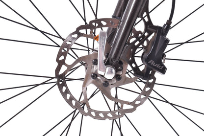 USED Spot Champa Urban Commuter Bike Large Shimano Alfine 8 speed Belt Drive
