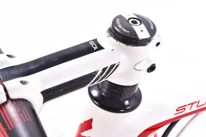 USED 2011 Specialized Stumpjumper Expert 29 XL Cross Country Carbon Hardtail Mountain Bike SRAM XO 2x10 speed White