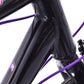 USED Giant Liv Alight 3 Small Step Thru Hybrid Bike Shimano 3x8 speed