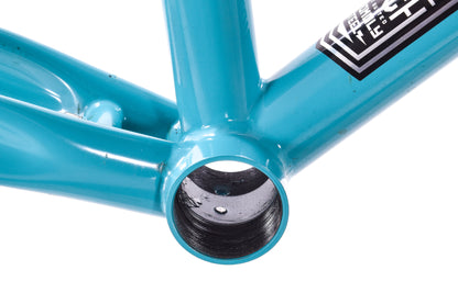 USED Surly Straggler 700c 54cm Frame Chlorine Dream Cyclocross Gravel Touring Steel Disc