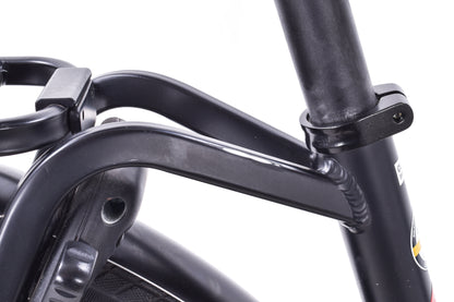 USED Riese and Muller Nevo EBike 18.5" 350w Class 1 Step Thru Internal Gear Hub 8 Speed