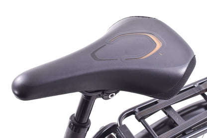 USED Riese and Muller Nevo EBike 18.5" 350w Class 1 Step Thru Internal Gear Hub 8 Speed