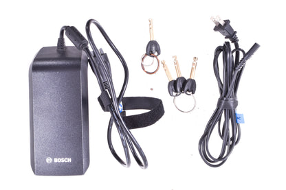 USED Riese and Muller Nevo EBike 18.5" 350w Class 1 Step Thru Internal Gear Hub 8 Speed