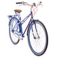 USED Public Mixte M7i Dutch Style Commuter Bike Blue 7 speed Nexus Internal Hub