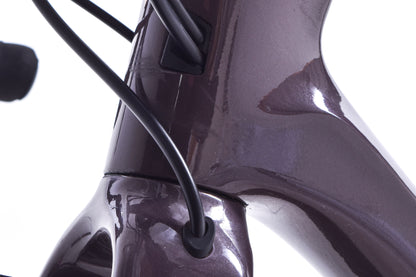 USED 2024 Giant Revolt Advanced 0 Medium Gravel Bike Shimano GRX 2x11 w/ Carbon Wheels Charcoal Plum