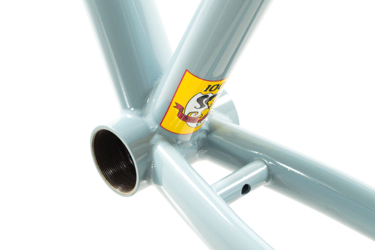 NEW out of box Bianchi San Jose 49cm Single Speed Cyclocross Gravel Frame Canti-Brakes Celeste
