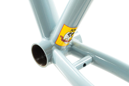 NEW out of box Bianchi San Jose 49cm Single Speed Cyclocross Gravel Frame Canti-Brakes Celeste