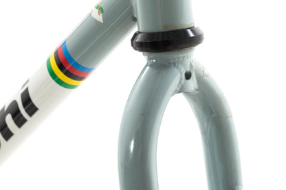 NEW (blemished) Bianchi San Jose 52cm Single Speed Cyclocross Gravel Frameset Canti-Brakes Celeste