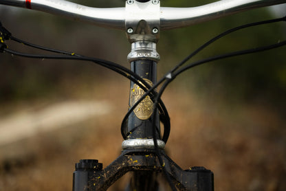 NEW Wilde Dark Star Steel Hardtail Mountain Bike - Gold Metal Flake and Sparkle Black