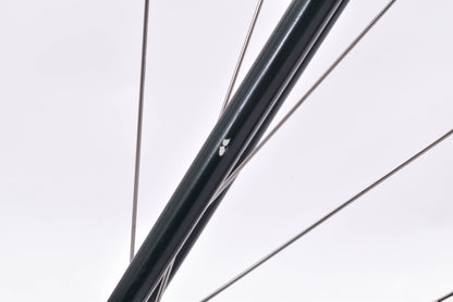 USED Bianchi San Jose Steel Single Speed Cyclocross Bike 55cm