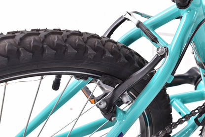 USED Nishiki Pueblo 24" Kids Mountain Bike Purple Turquoise