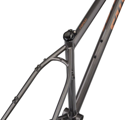 NEW Salsa Fargo Bikepacking Gravel All-Road Frameset - 29", Steel, Black - Around the Cycle