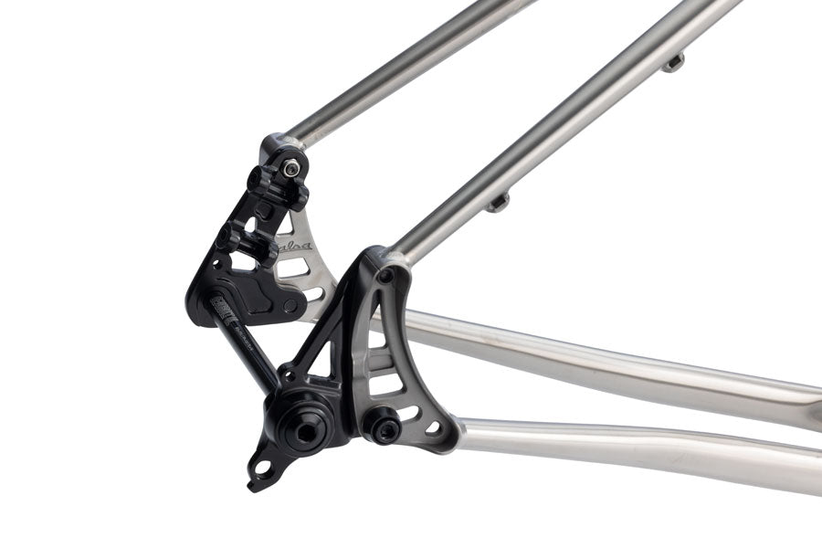 NEW Salsa Fargo Ti Adventure / Bikepacking Frameset - 29", Brushed Titanium