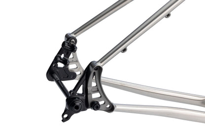NEW Salsa Fargo Ti Adventure / Bikepacking Frameset - 29", Brushed Titanium