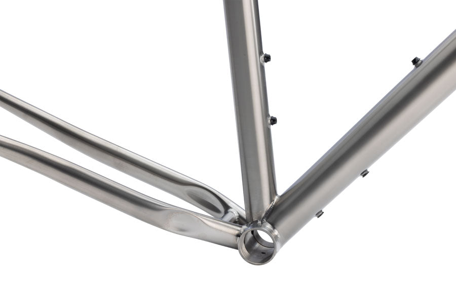 NEW Salsa Fargo Ti Adventure / Bikepacking Frameset - 29", Brushed Titanium