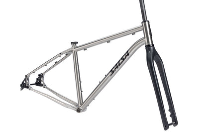 NEW Salsa Fargo Ti Adventure / Bikepacking Frameset - 29", Brushed Titanium