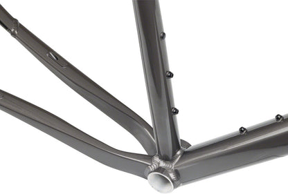 NEW Salsa Stormchaser - Metallic Black All-Road Frame - Around the Cycle