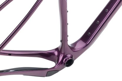 NEW Salsa Cutthroat C Adventure / Bikepacking Frameset - 29", Carbon, Deep Orchid