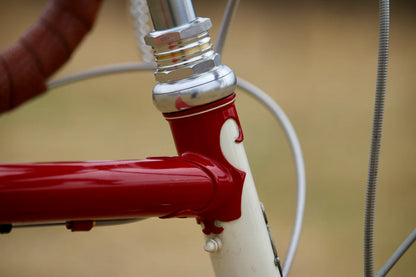 NEW Wilde / Cane Creek 110 ZN 1" Threaded Headset