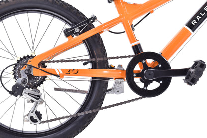 USED Raleigh Rowdy 20" Alloy Kids Mountain Bike