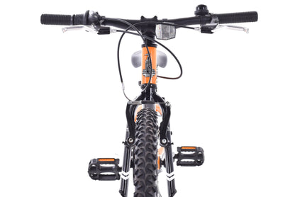 USED Raleigh Rowdy 20" Alloy Kids Mountain Bike