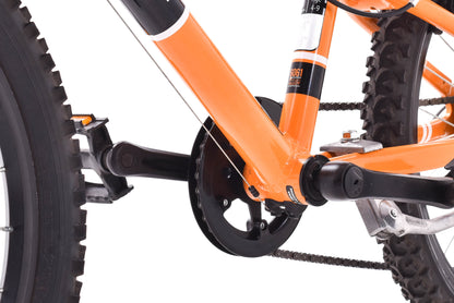 USED Raleigh Rowdy 20" Alloy Kids Mountain Bike
